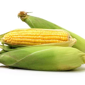 Corn (each)
