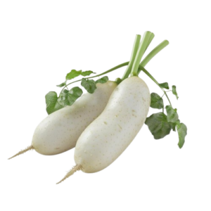 Radish white