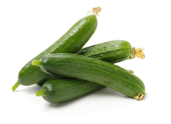 Cucumber Lebanese