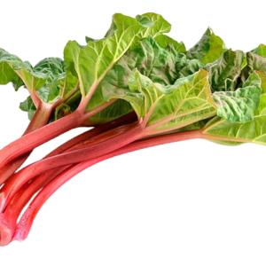 Rhubarb (bunch)