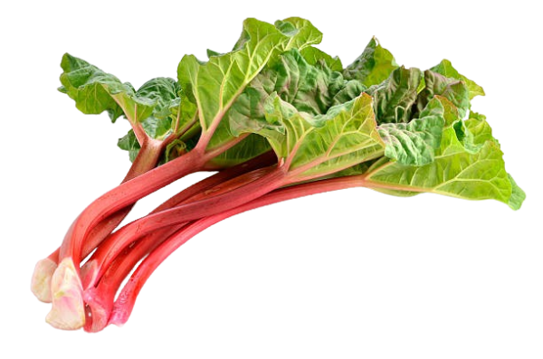Rhubarb (bunch)