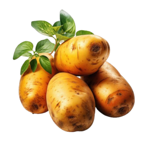 Potatoes brushed